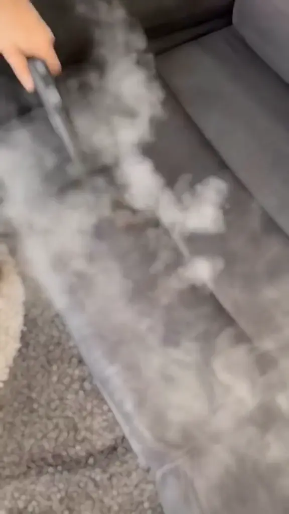 Adana profesyonel koltuk yıkama sonucu